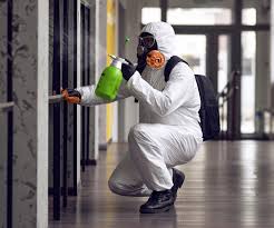 Asbestos and Lead Testing During Mold Inspection